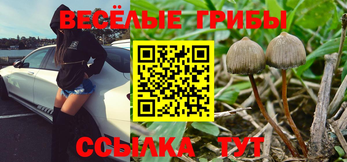 Галлюциногенные грибы Cubensis  цена наркотик  Псилоцибиновые грибы Cubensis  Нижневартовск  Вход с VPN 